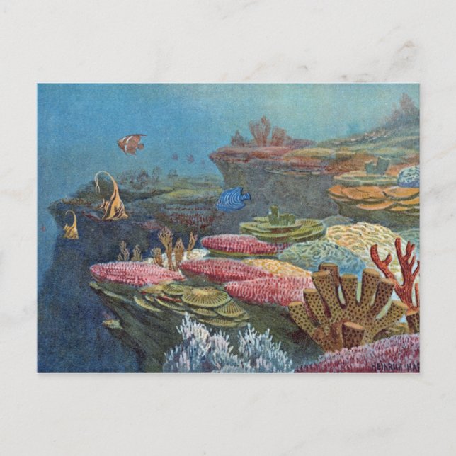 Ancient Sea Coral Antique Print Postcard (Front)