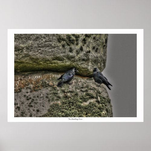 Ancient Site of Stonehenge  Two Crows Poster