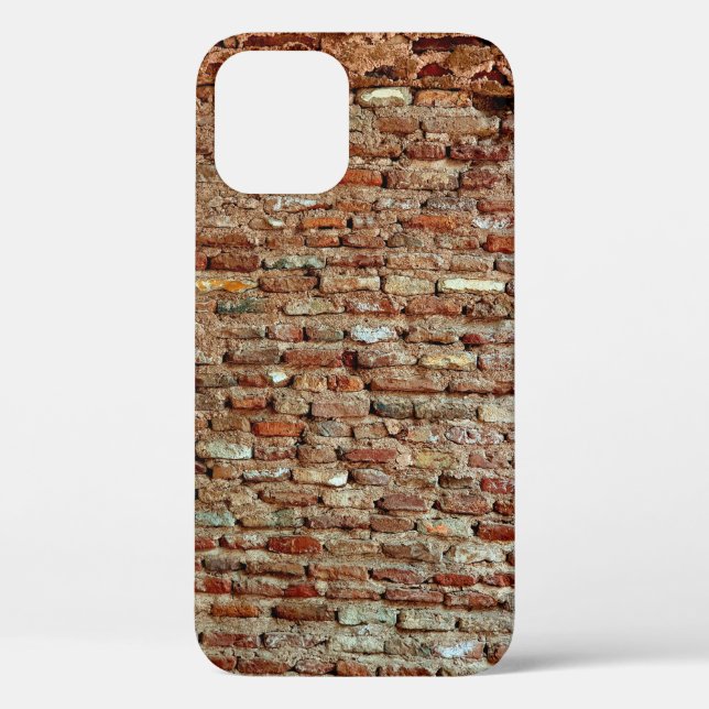 Ancient Textured Brick Wall of Lal Killa Indiaaged Case-Mate iPhone Case (Back)