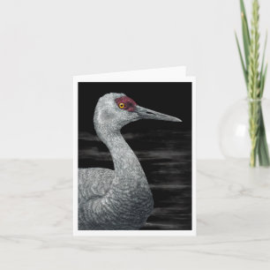 "Ancient Traveler" - Sandhill Crane Card