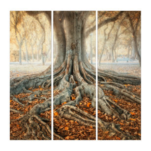 Ancient Tree Roots Triptych