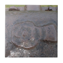 Ancient Tudor Rose