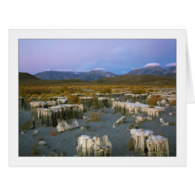 "Ancient Watermark" Cards (Front Horizontal)