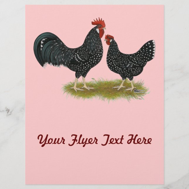 Ancona Chickens Flyer (Front)