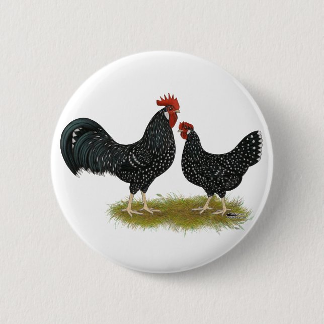Ancona Chickens Pinback Button (Front)