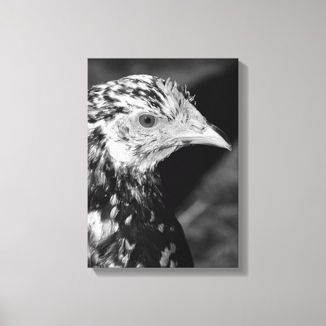 Ancona Hen Canvas Print (Front)