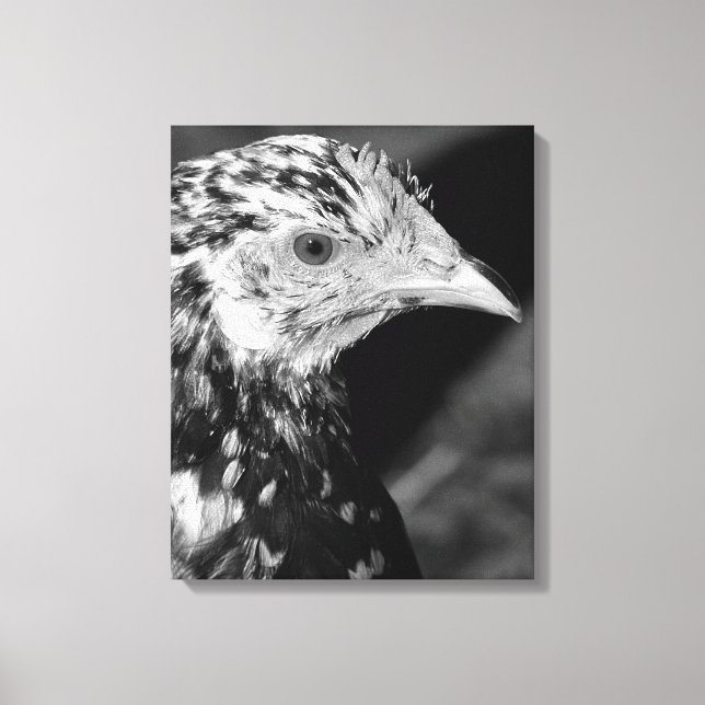 Ancona Hen Canvas Print (Front)