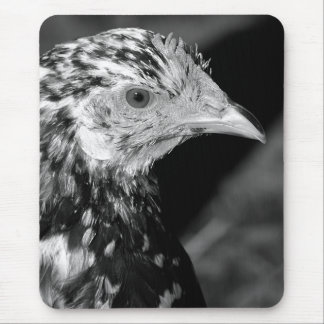 Ancona Hen Mouse Pad