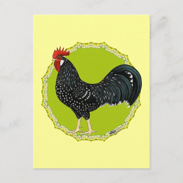 Ancona Rooster Postcard (Front)