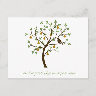 And a partridge in a pear tree postcard