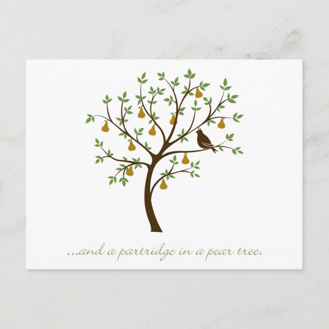 And a partridge in a pear tree postcard (Front)