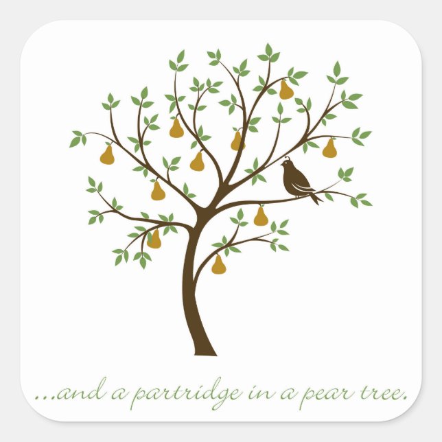 And a partridge in a pear tree square sticker (Front)