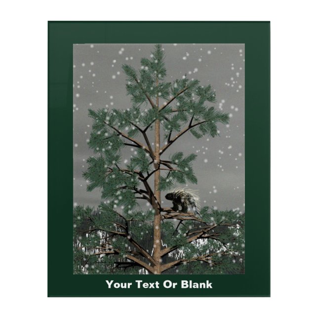 And A Porcupine In A Pine Tree Acrylic Print (Front)