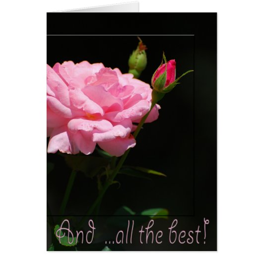 And all the best cards (Front)