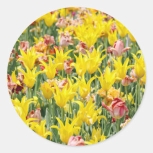 And Life Goes On Classic Round Sticker