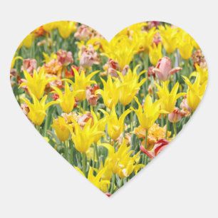 And Life Goes On Heart Sticker