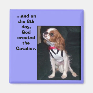 and on the 8th day,God created the cavalier magnet