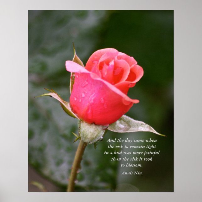 And the day came.... poster (Front)