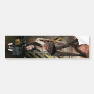 and the zombie apocalypse begins bumper sticker