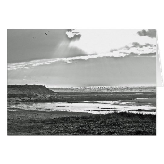 And There Was Light (Front Horizontal)