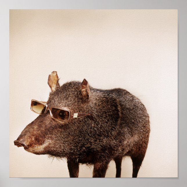 And you are? poster (Front)