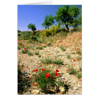 Andalucian landcape with poppies. cards