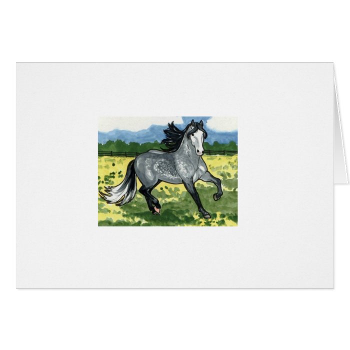 Andalusian Dapple Grey Horse Art Greeting Cards