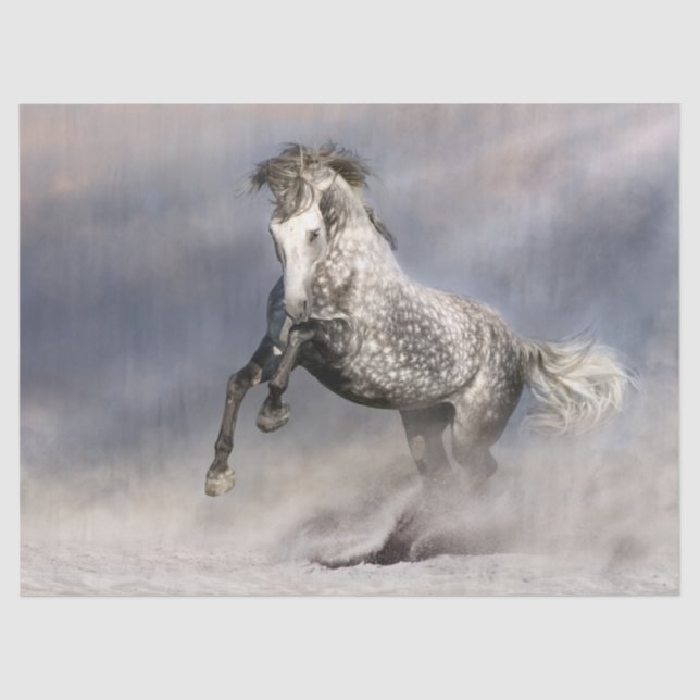 Andalusian Dapple Grey Horse Tissue Paper (Front)