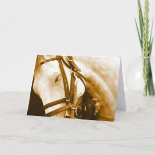 Andalusian Greeting Card