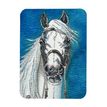 Andalusian Horse Premium Flexi Magnet by GailRagsdaleArt at Zazzle