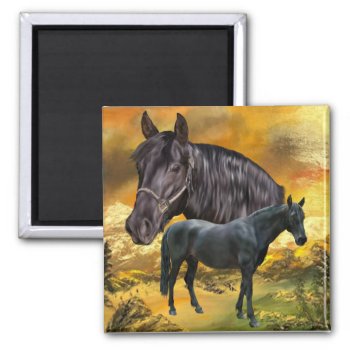 Andalusian Horse Print Magnet by PaintedDreamsDesigns at Zazzle