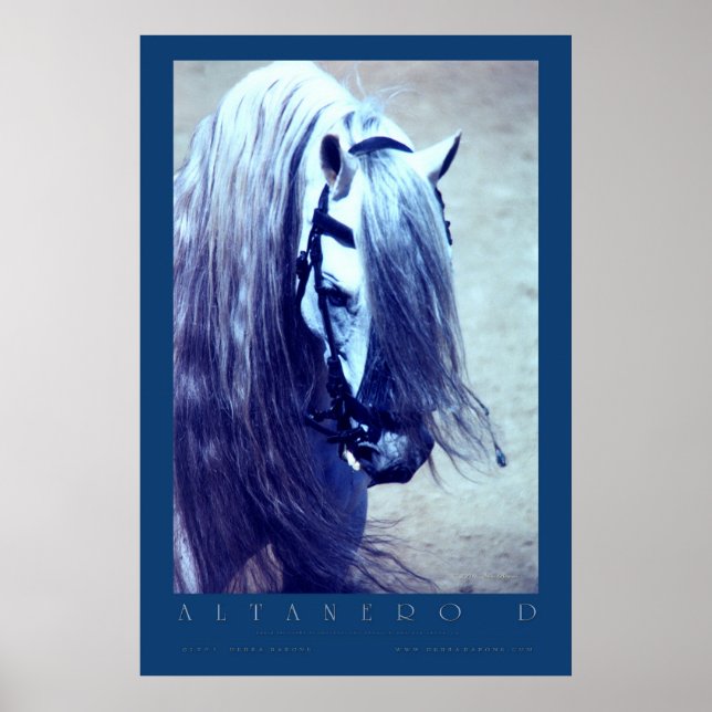 Andalusian Poster (Front)