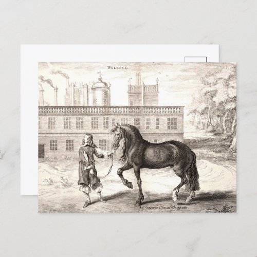 Andalusian PRE Horse Vintage Engraving Fine Art Postcard