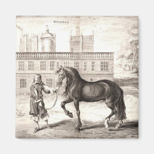 Andalusian PRE Horse – Vintage Spanish Engraving Magnet