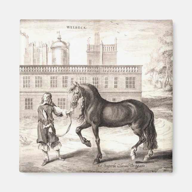 Andalusian PRE Horse – Vintage Spanish Engraving Magnet (Front)