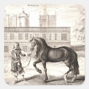 Andalusian PRE Horse – Vintage Spanish Engraving Square Sticker