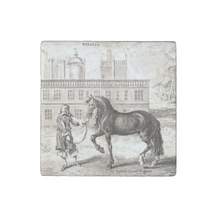 Andalusian PRE Horse – Vintage Spanish Engraving Stone Magnet