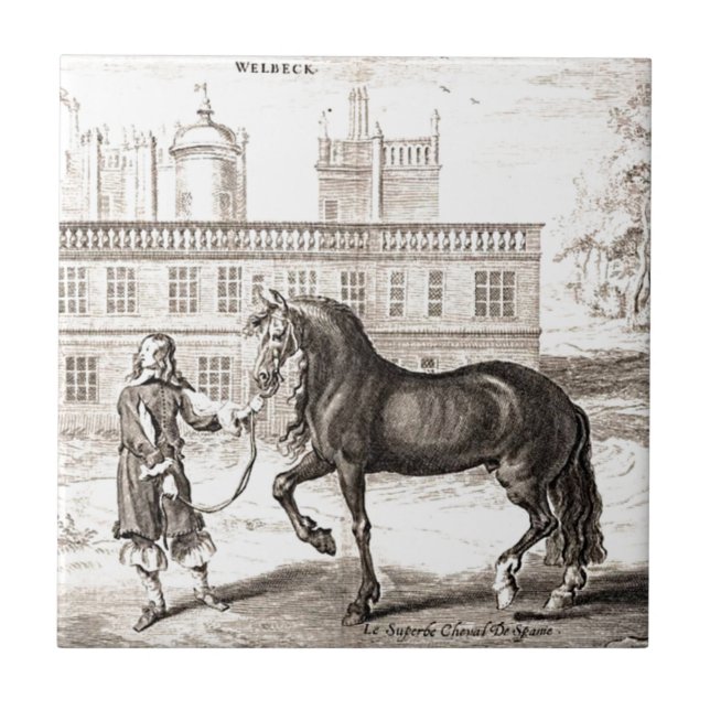 Andalusian PRE Horse – Vintage Spanish Engraving Tile (Front)