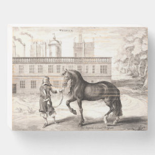 Andalusian PRE Horse – Vintage Spanish Engraving Wooden Box Sign