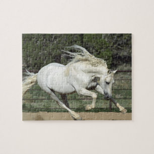 Andalusian Stallion running, PR Jigsaw Puzzle
