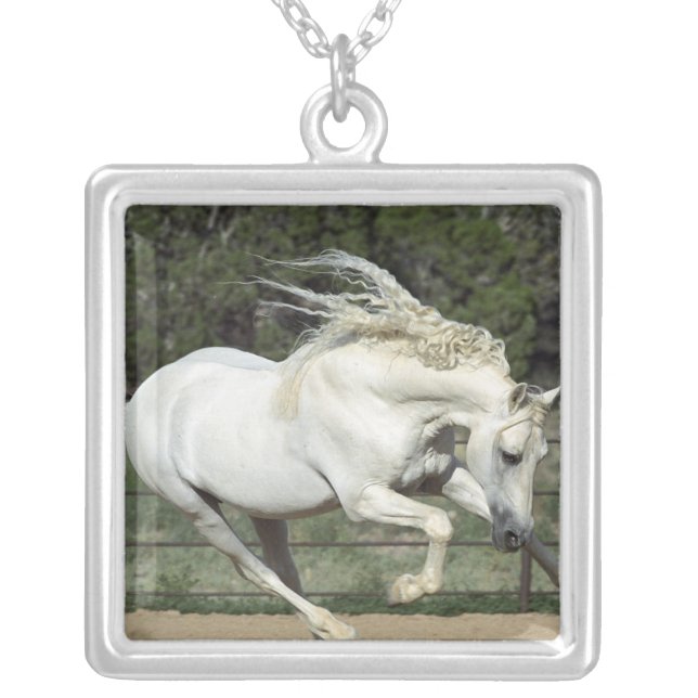 Andalusian Stallion running, PR Silver Plated Necklace (Front)