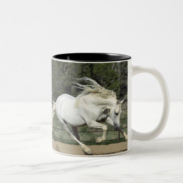 Andalusian Stallion running, PR Two-Tone Coffee Mug (Right)