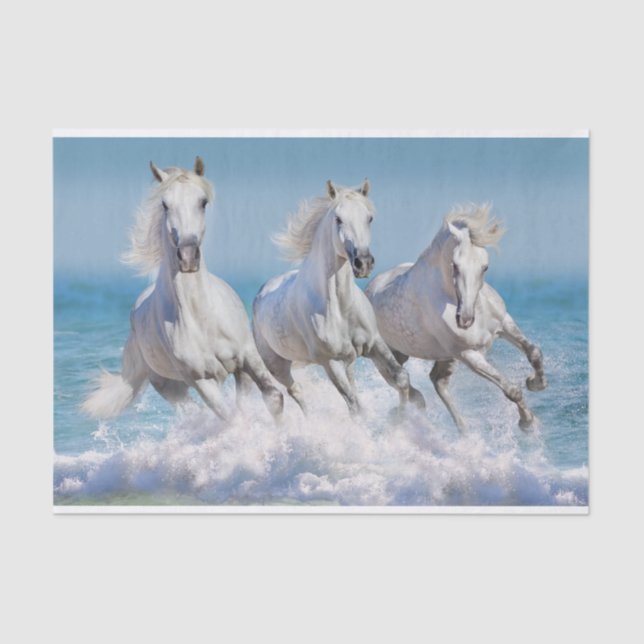 Andalusian White Horses Tissue Paper (Front)