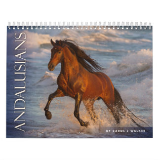 Andalusians by Carol J Walker Horse Calendar