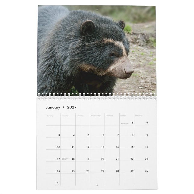 Andean Bear Foundation Calendar 2013 (Jan 2027)