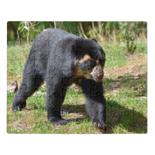 Andean bear walking on grass postcard T-Shirt Coff Jigsaw Puzzle