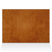 Andean Bird (Inside Horizontal (Top))