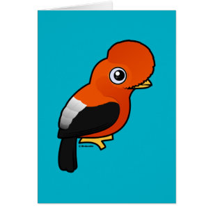Andean Cock-of-the-rock Cards