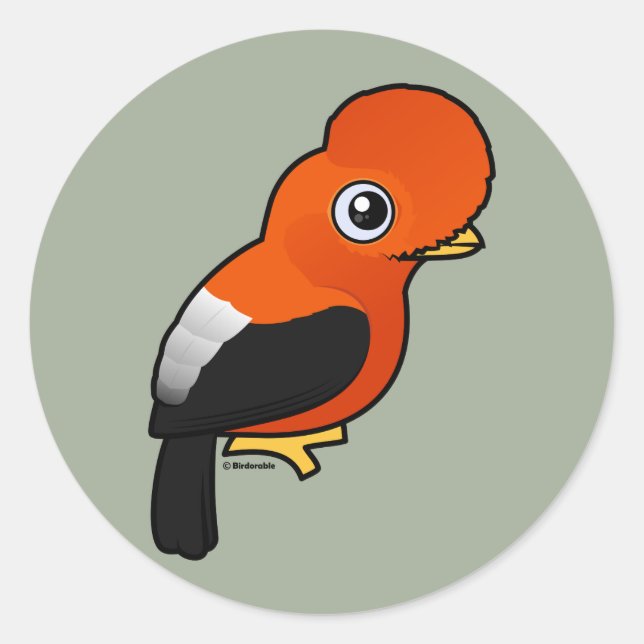 Andean Cock-of-the-rock Classic Round Sticker (Front)