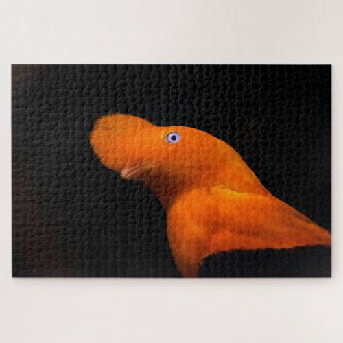 Andean Cock_of_the_Rock Jigsaw Puzzle